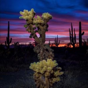 Meet your Posher, Susan